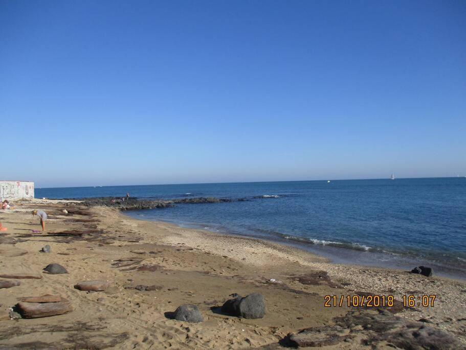 Studio Port Du Cap D'Agde Exteriör bild