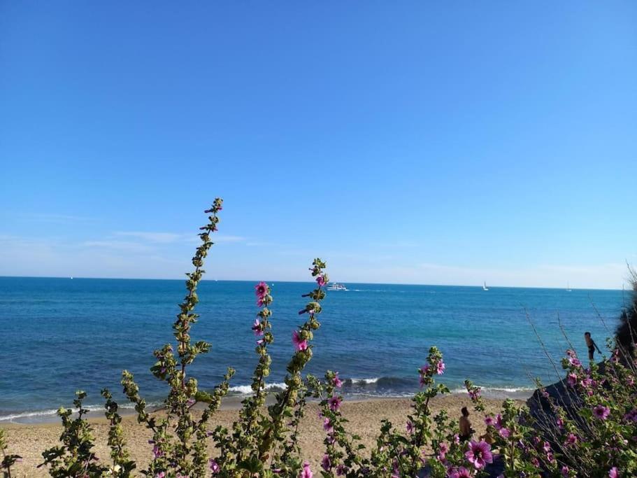 Studio Port Du Cap D'Agde Exteriör bild